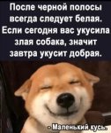 C1AE818B-B679-40C6-9C15-1CF0F1A1F96D.jpg