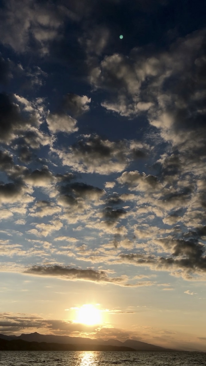 0A3485E5-2505-4C8E-A8AB-ADFC245348B2.jpg