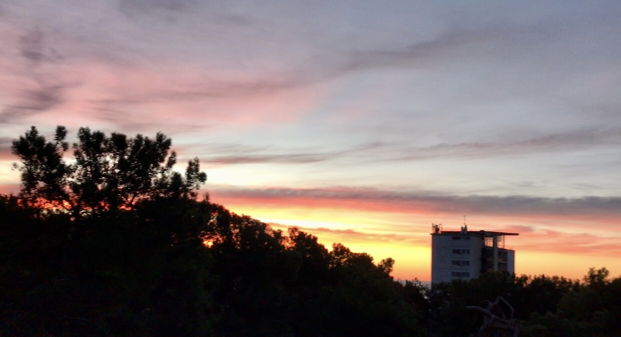 118AE60D-4905-43DC-B670-ECD63E95EAE1.jpeg
