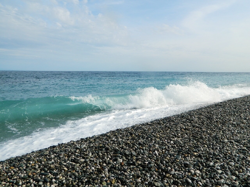 1661621745263_resize_28.jpg