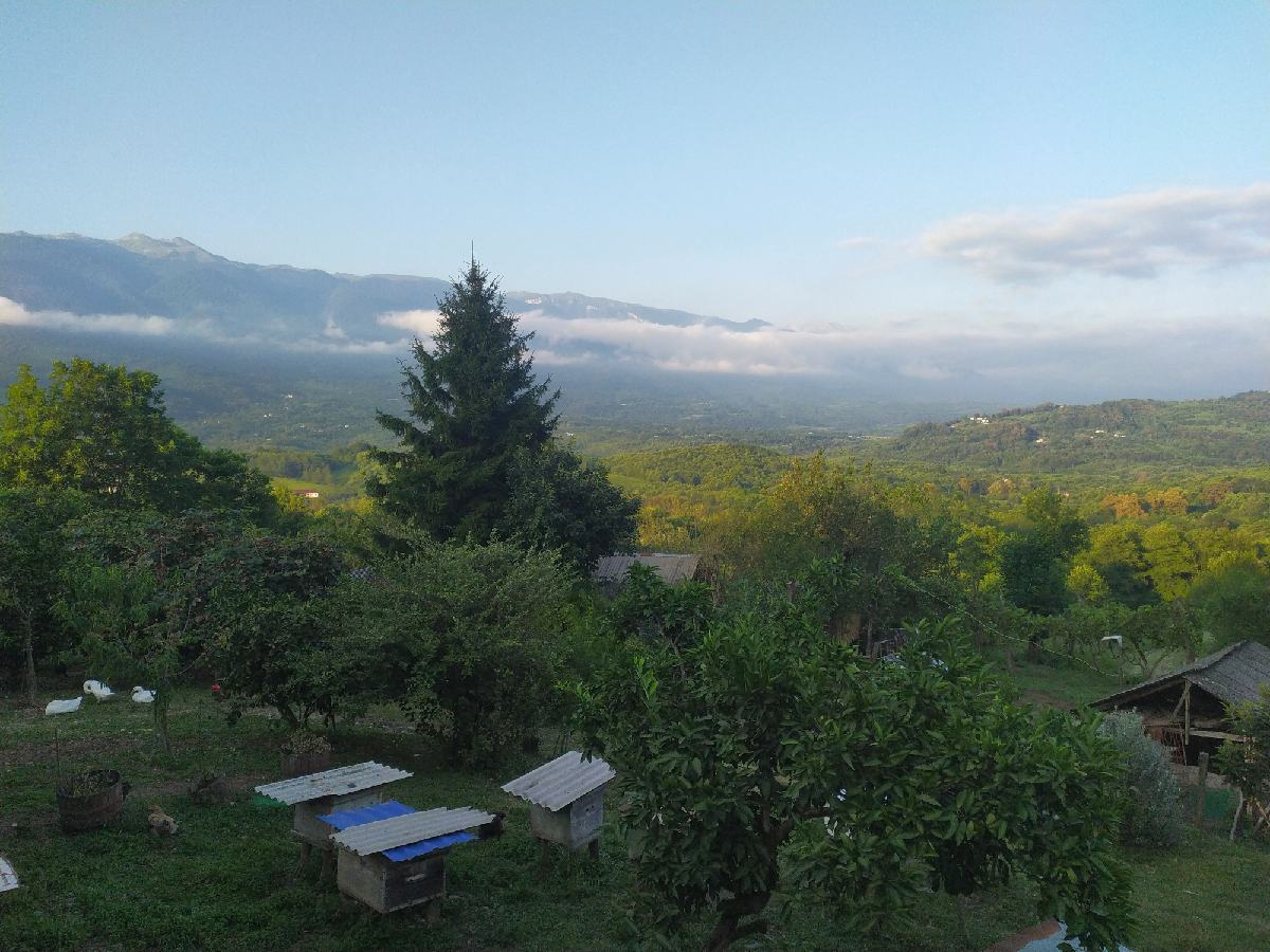 1692037425643_resize_54.jpg