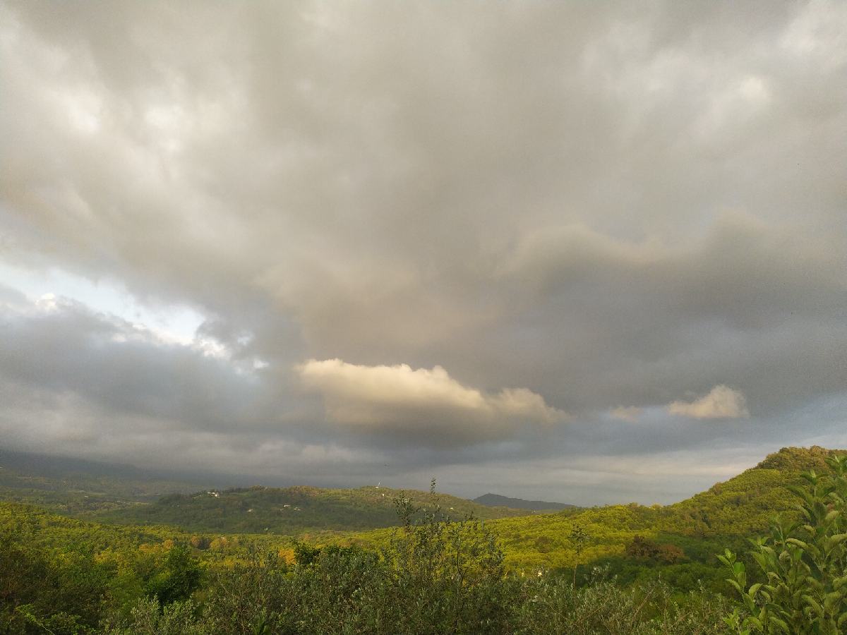1692047801953_resize_41.jpg