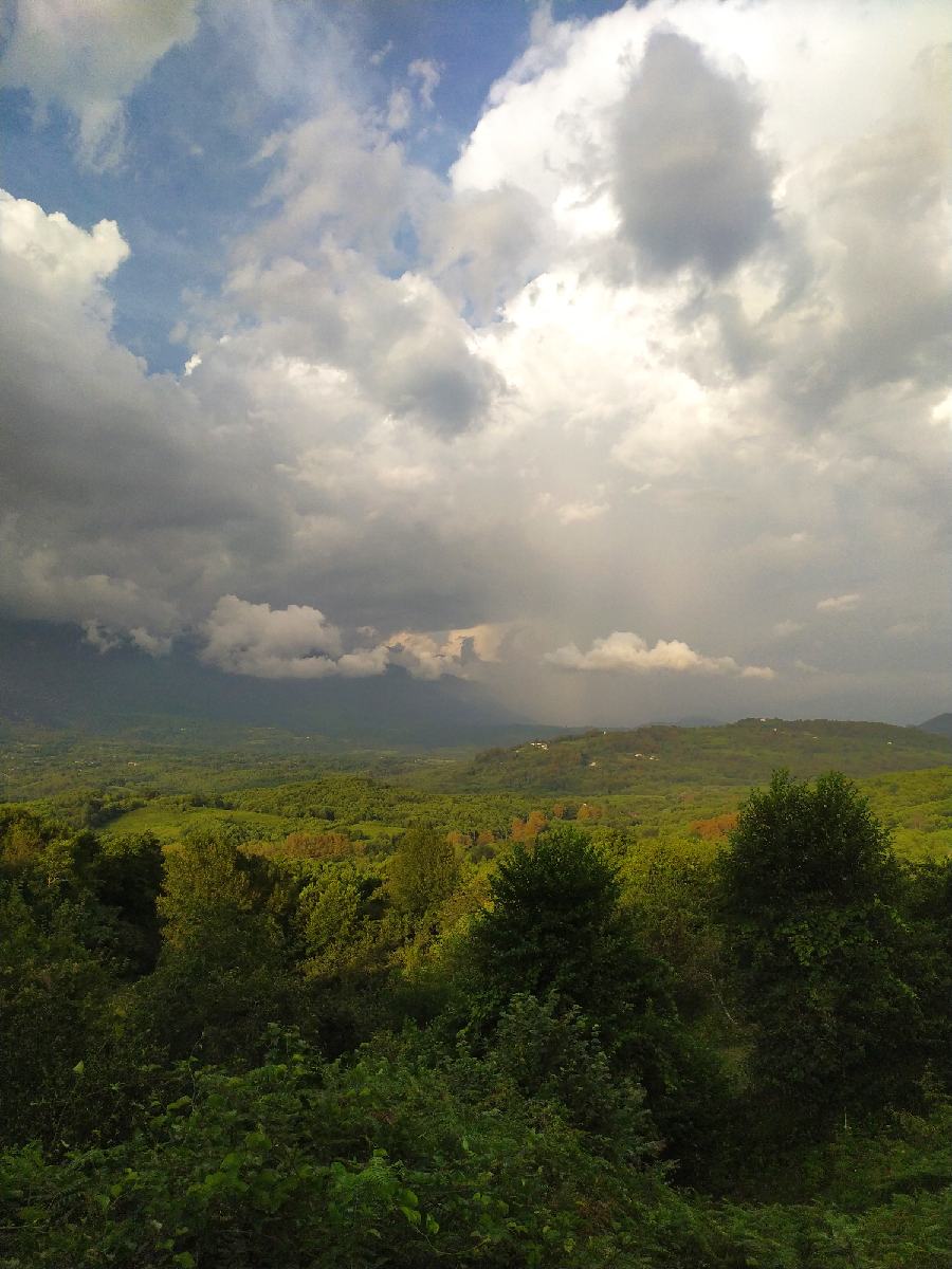 1692380013289_resize_81.jpg