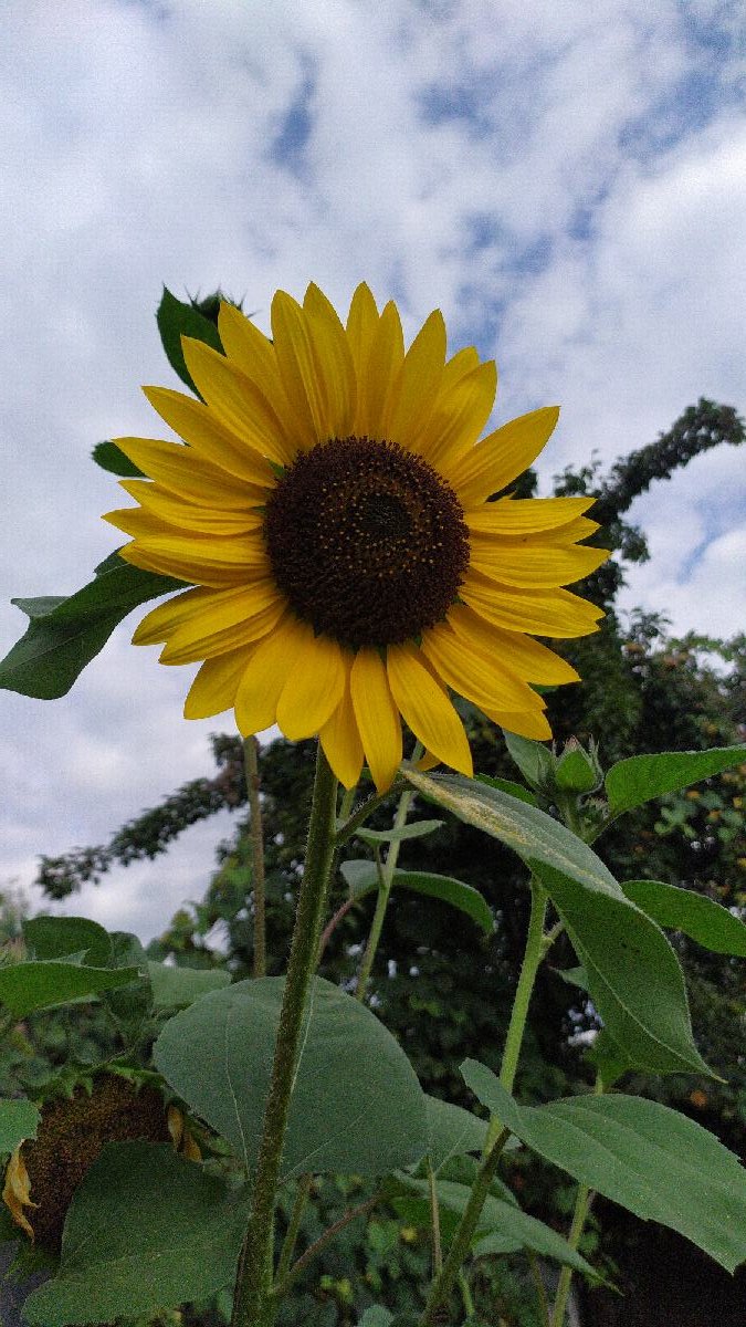 1755678438896_resize_90.jpg