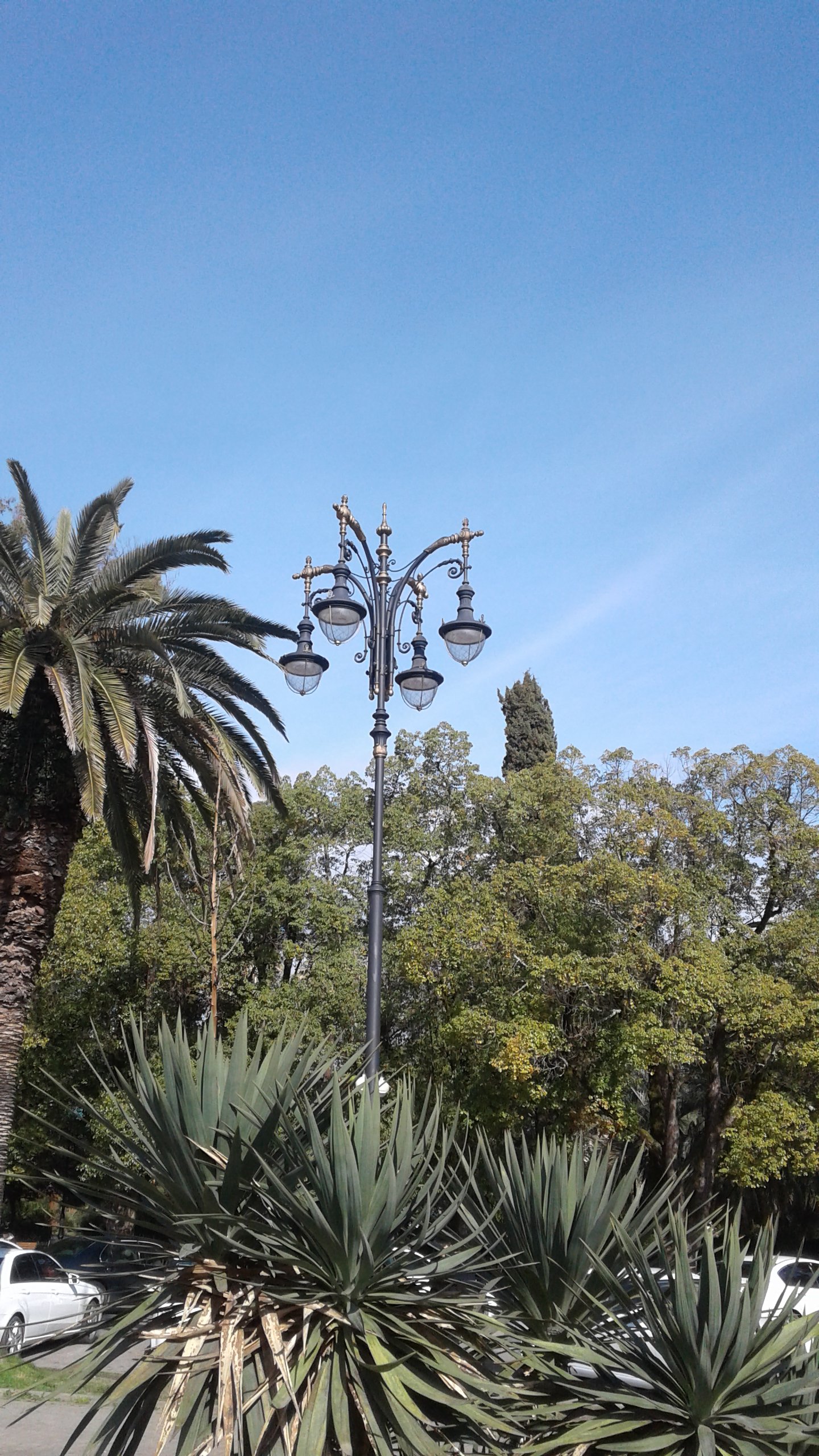 20190308_143322.jpg