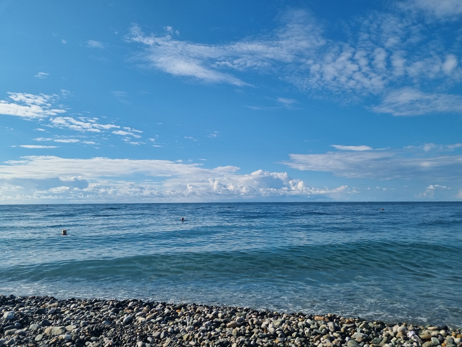 20230914_085547.jpg