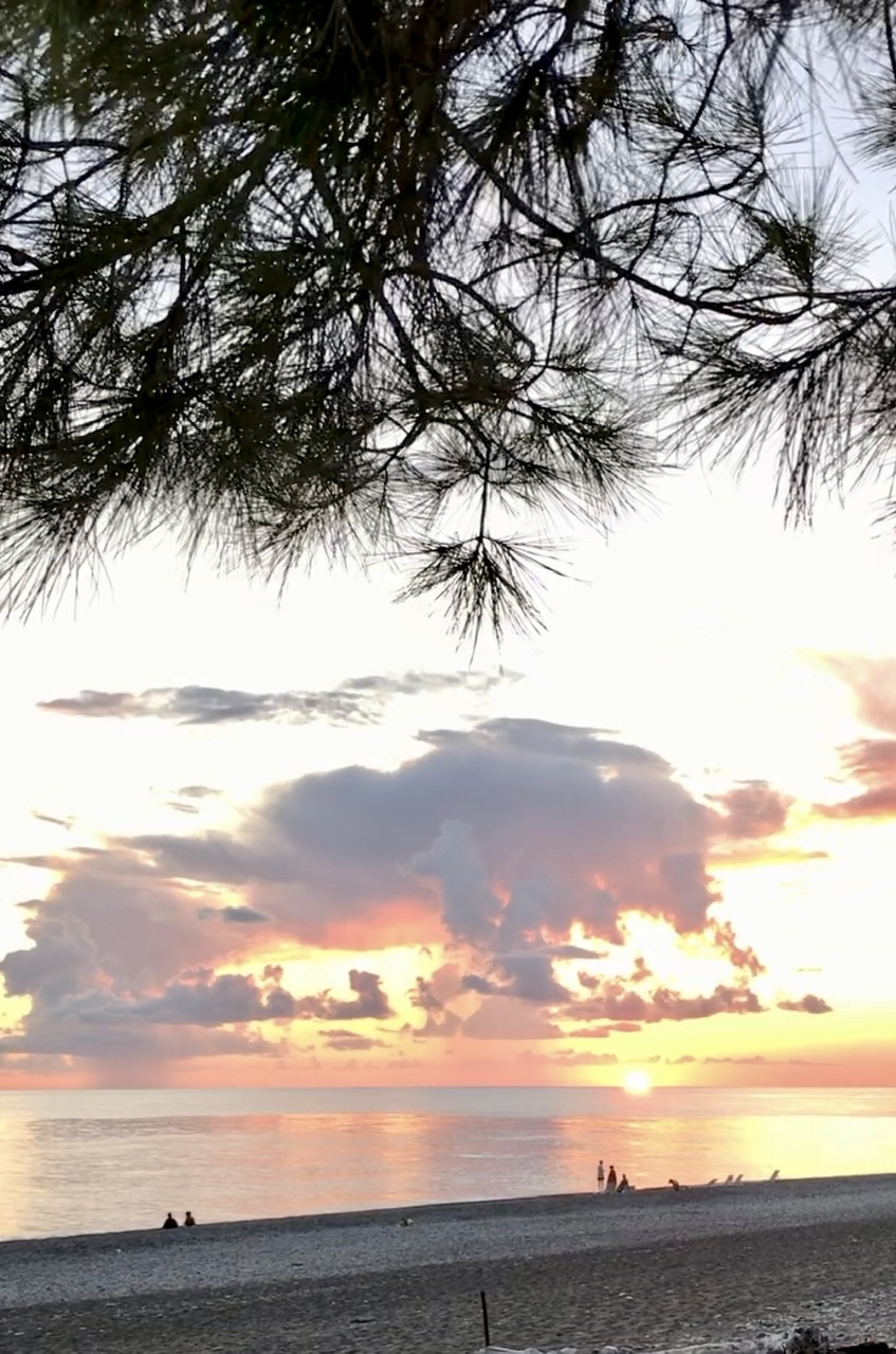 3B111B1B-E6EE-4ED8-B8C0-53521BFE81A2.jpeg