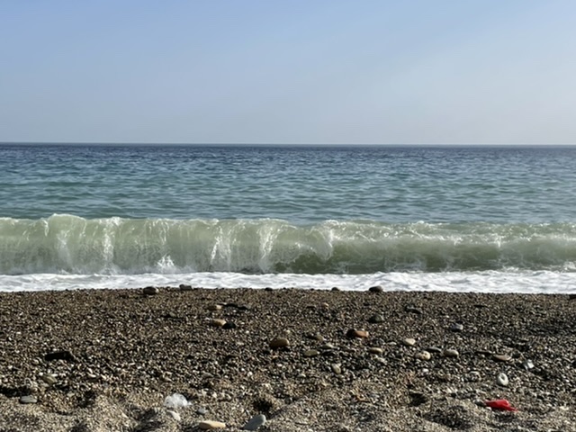 516A65DE-3316-4F64-8727-3DAF36D5861E.jpeg