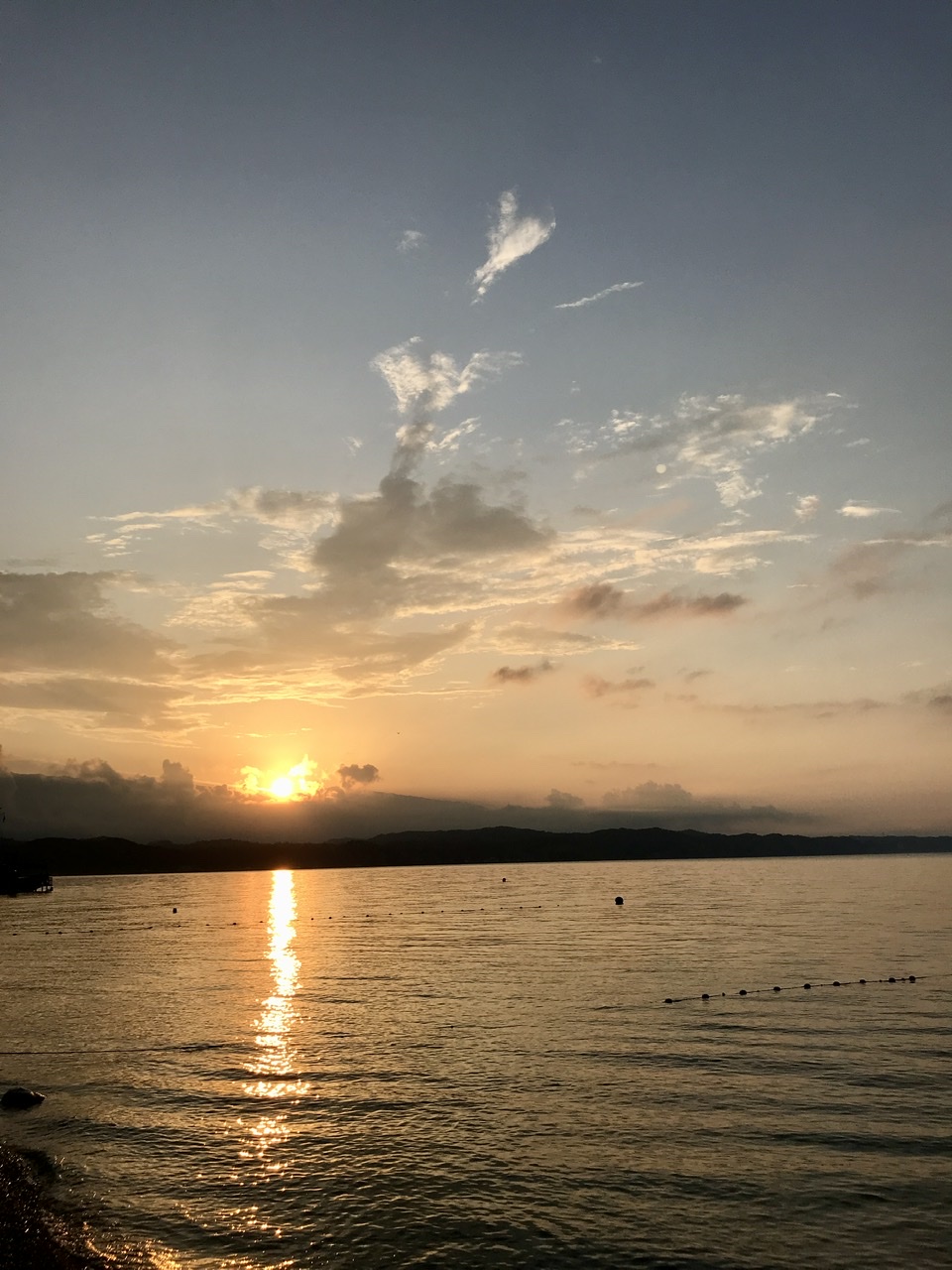 58471EF1-F1BC-4065-8CCF-428979158B4B.jpeg