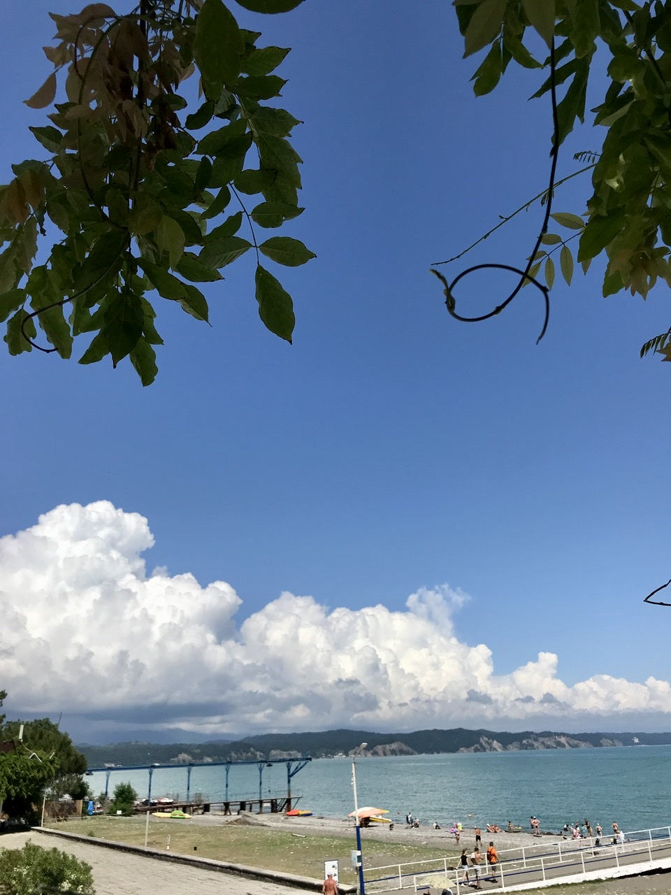 61500310-1D6F-4874-AB27-37C0DE818E03.jpeg