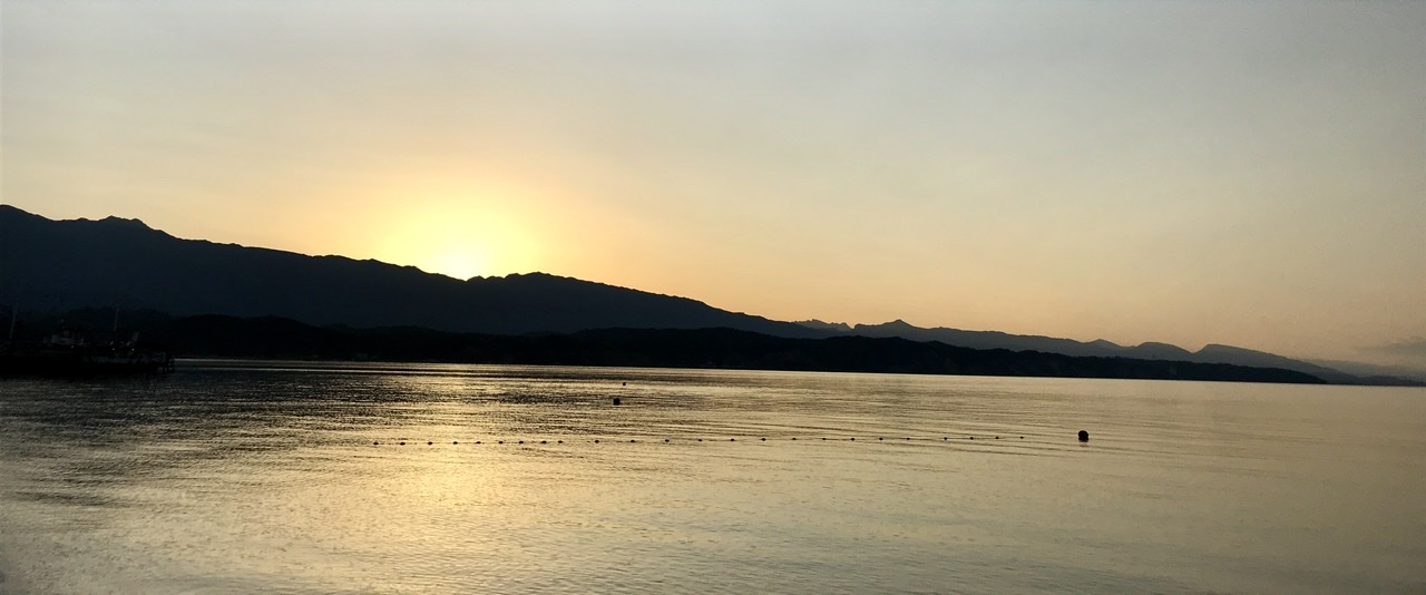 6CB2C425-1096-479F-B70D-FD2B3D16B59C.jpeg