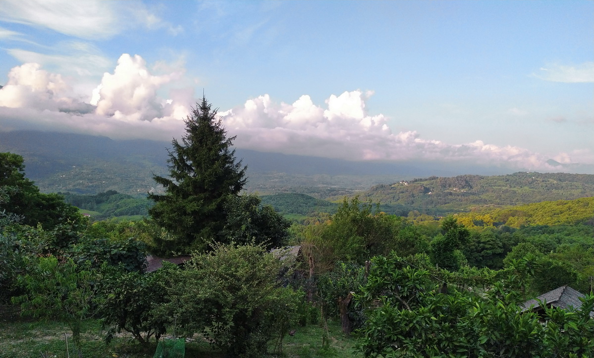 Бармыш IMG_20230724_185005_1.jpg