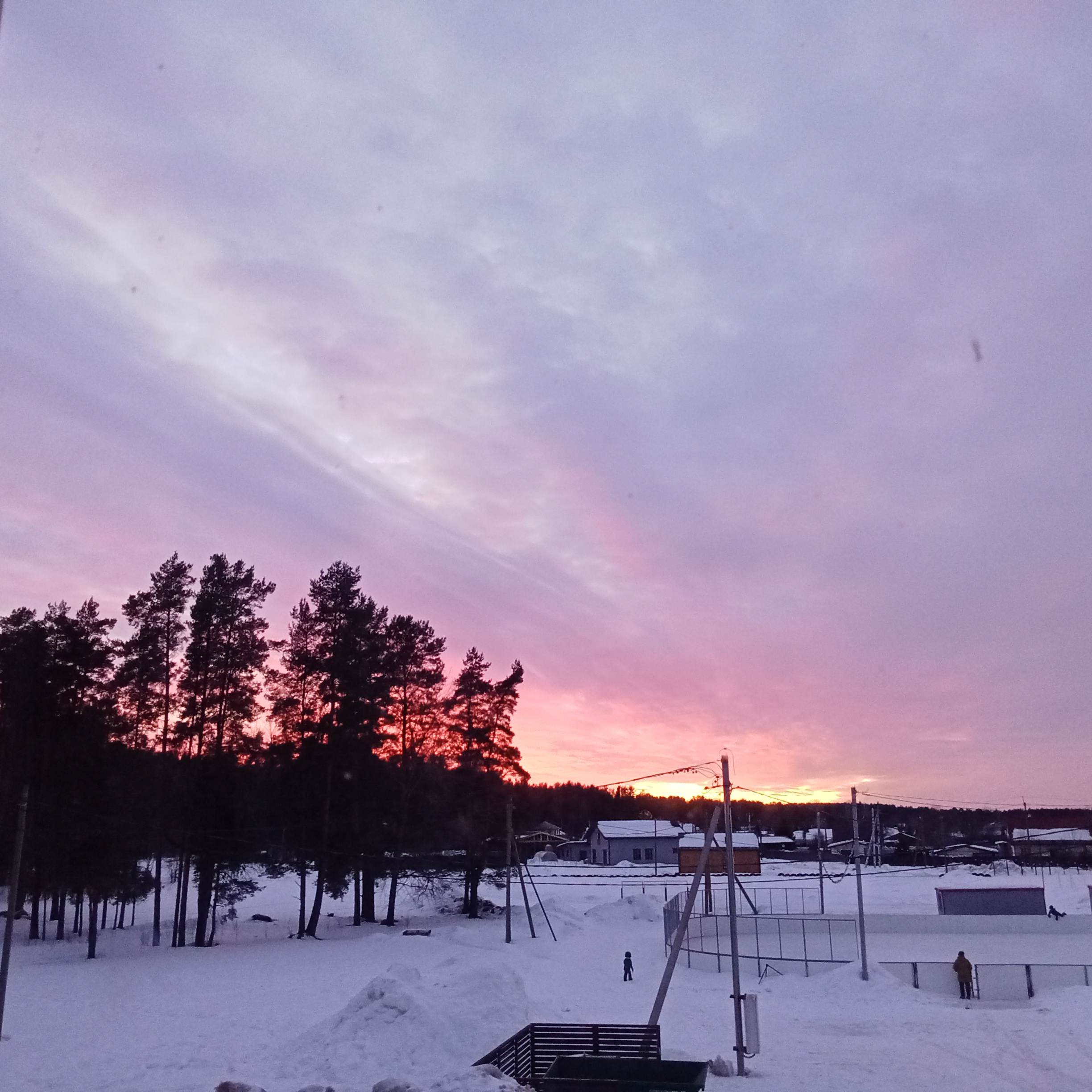 c1_20240220_18134768.jpeg