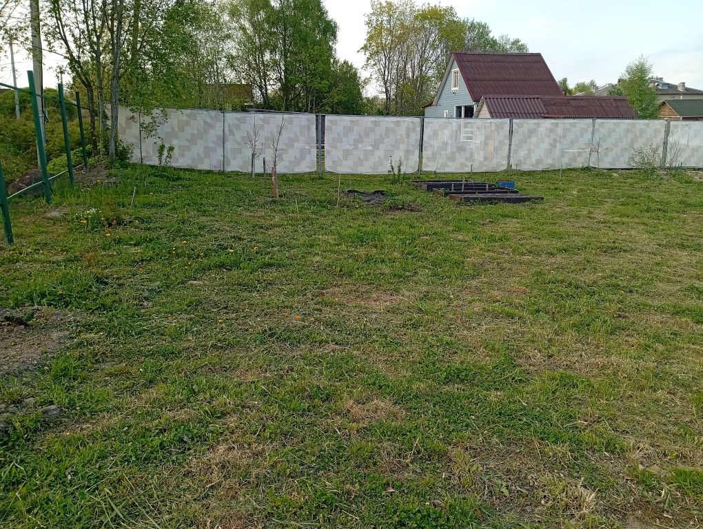 c1_20260517_21413989.jpeg