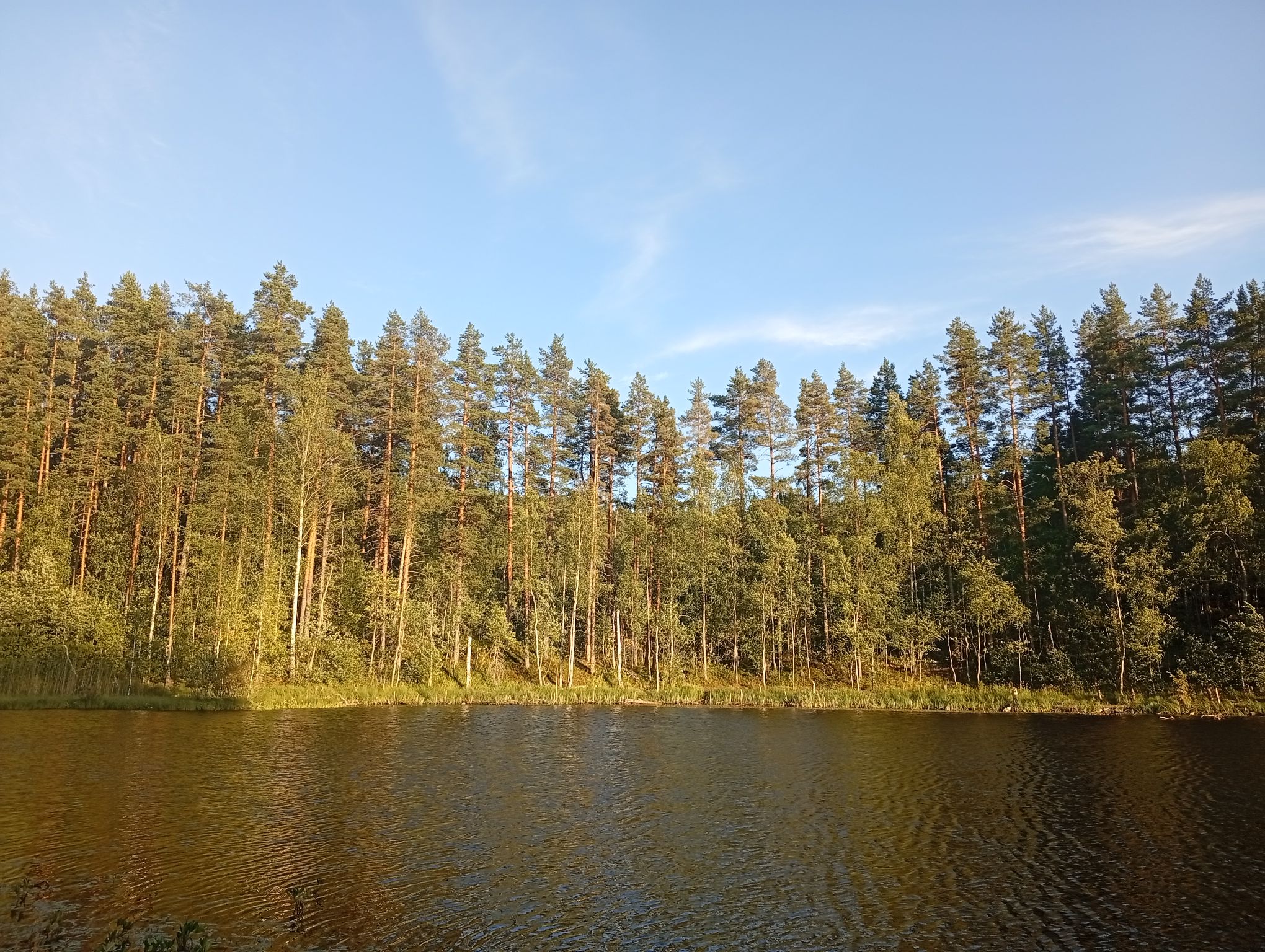 c1_20260809_19401401.jpeg
