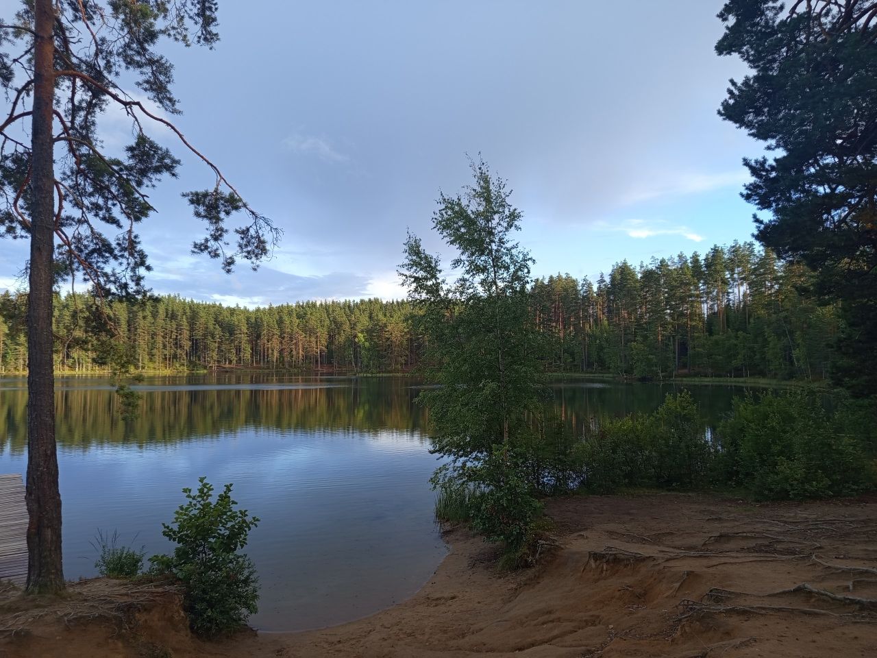 c1_20260817_19562996.jpeg