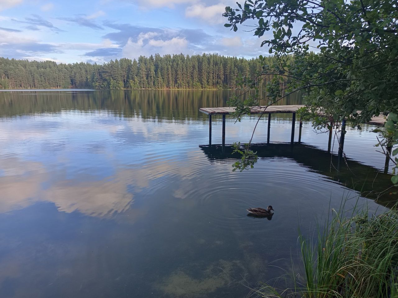 c1_20260817_19582752.jpeg