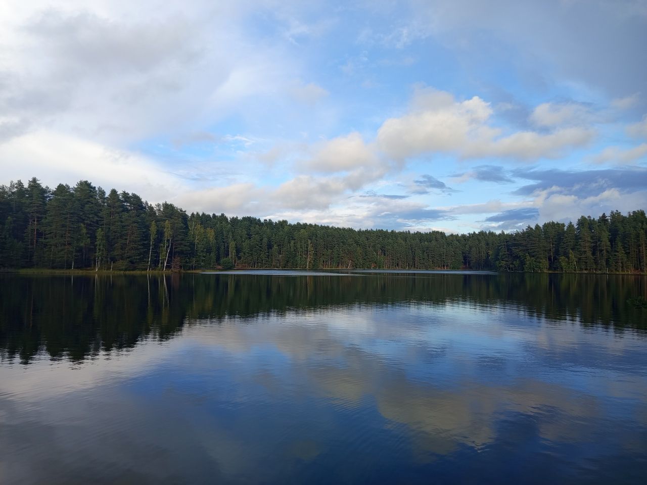 c1_20260817_19594825.jpeg