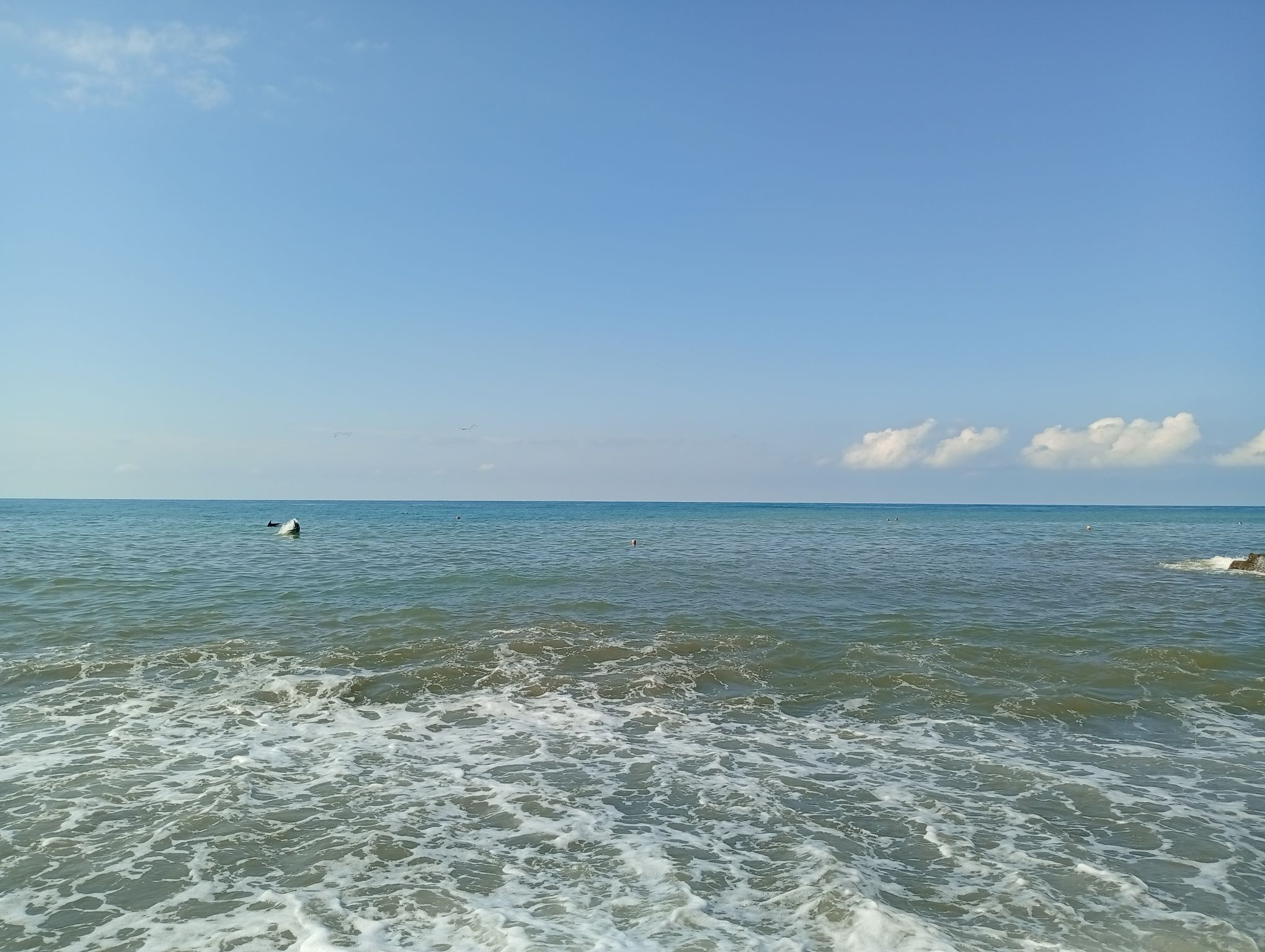 c1_20260824_12495744.jpeg