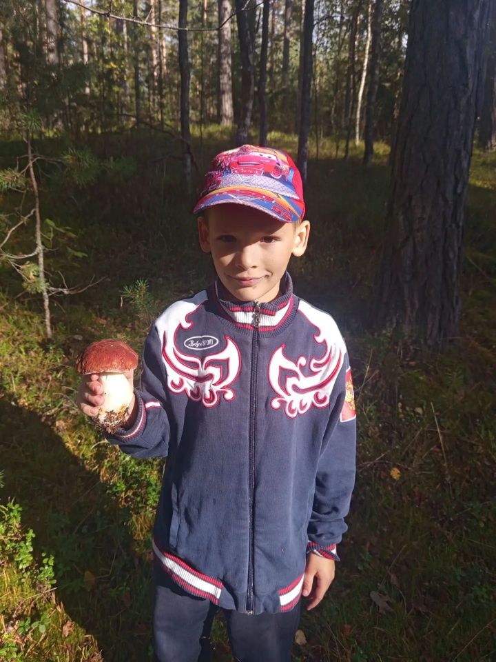 c1_20260905_16482855.jpeg