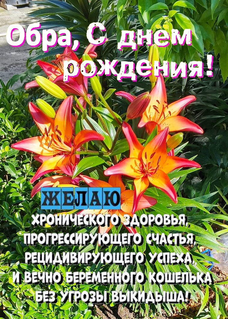 ДР ОБРА.jpg
