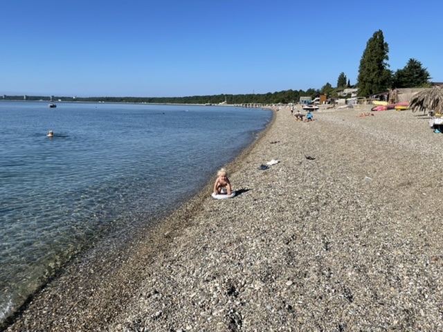 F72084A1-C9DB-4866-905D-3D2D5BDC8EF7.jpeg