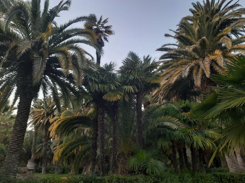 gagra.jpg