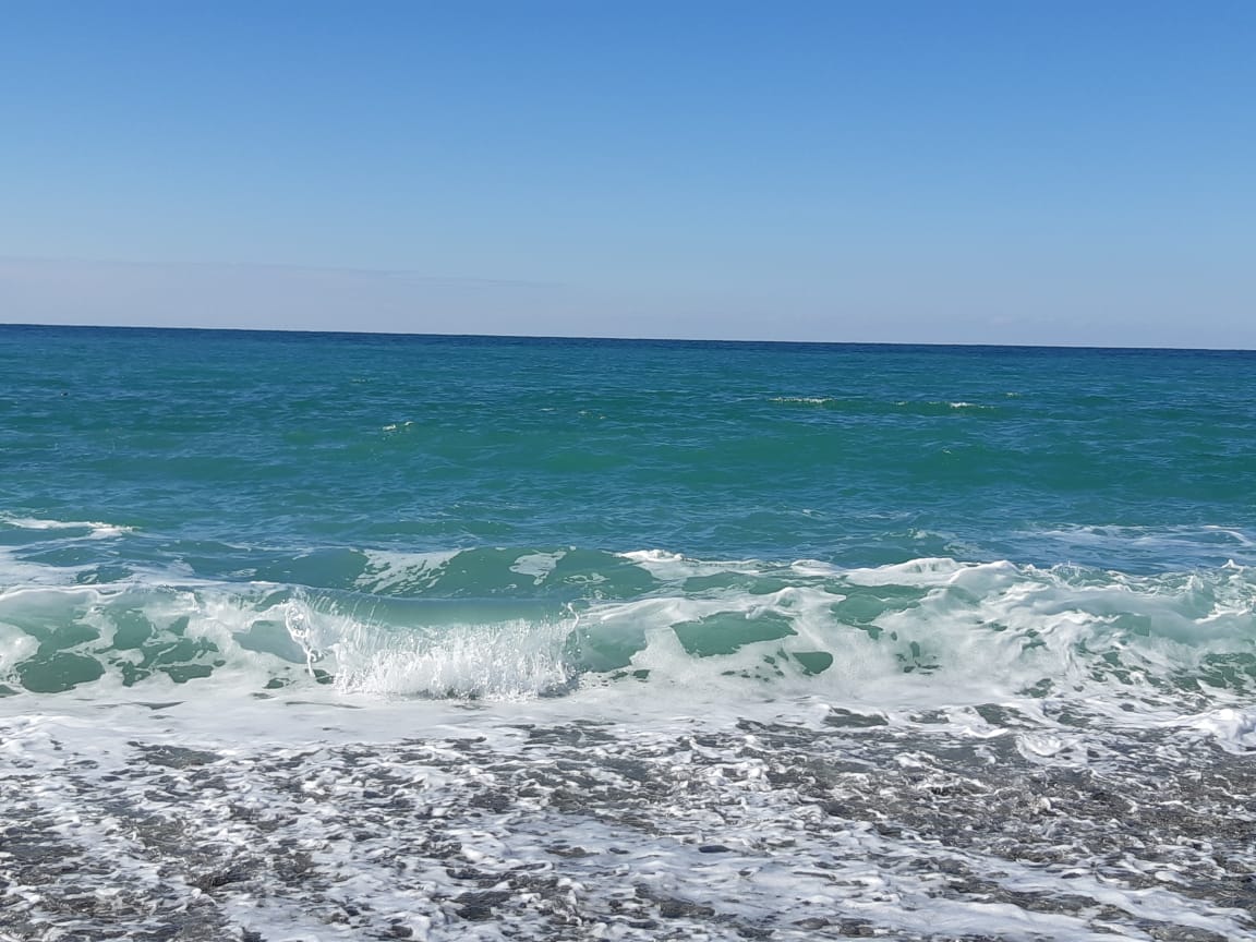 IMG-20190304-WA0007.jpg