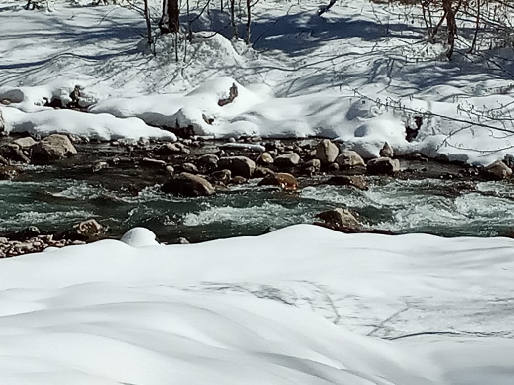 IMG-20190306-WA0065.jpg