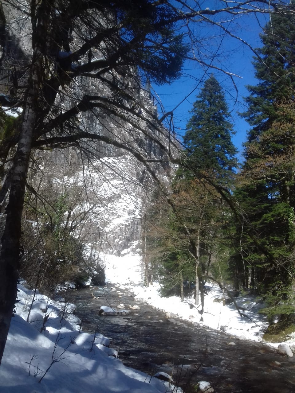 IMG-20190306-WA0079.jpg