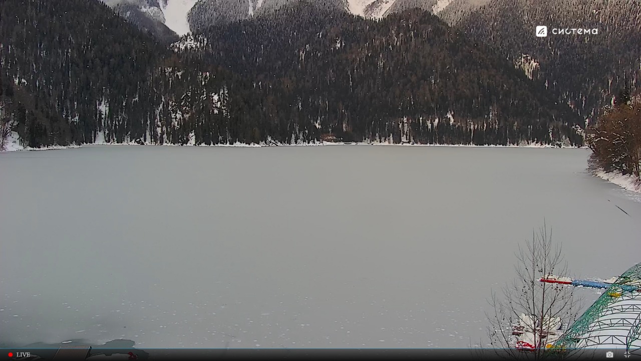 IMG-20220211-WA0011.jpg