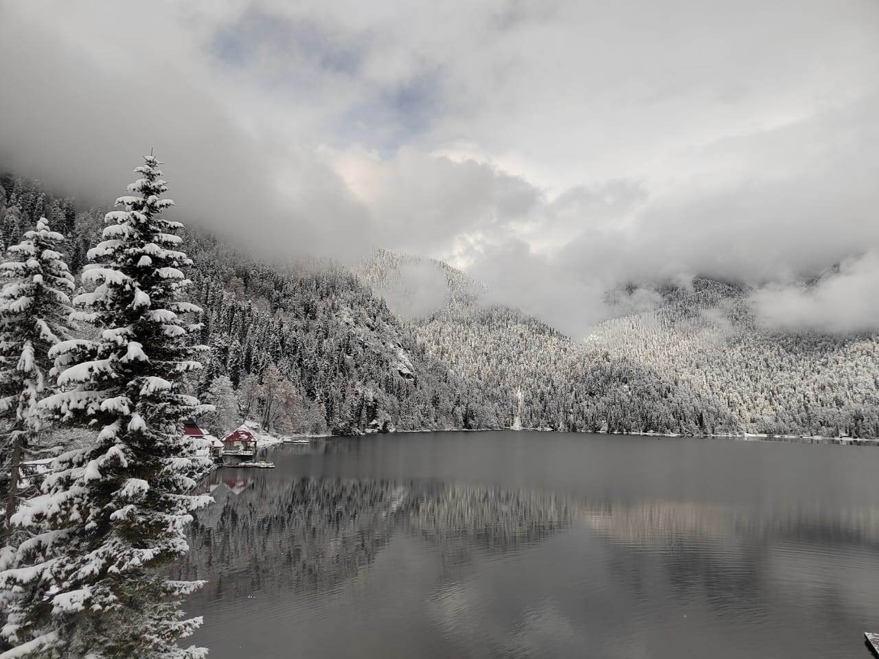 IMG-20230203-WA0018_2zh21bWd8I.jpeg