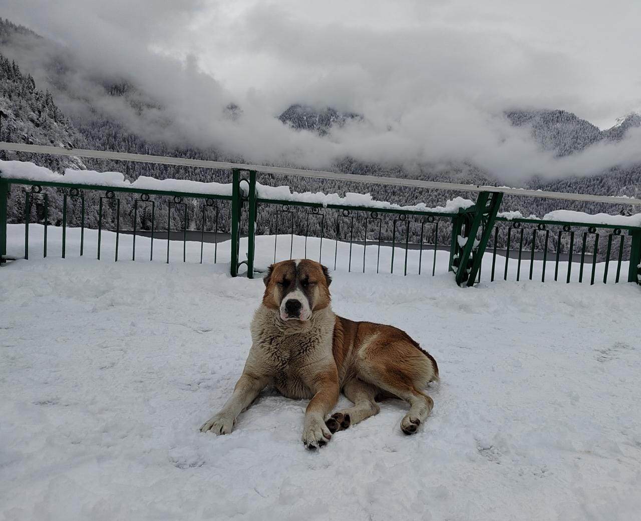 IMG-20230203-WA0038_6sHfQk404r.jpeg