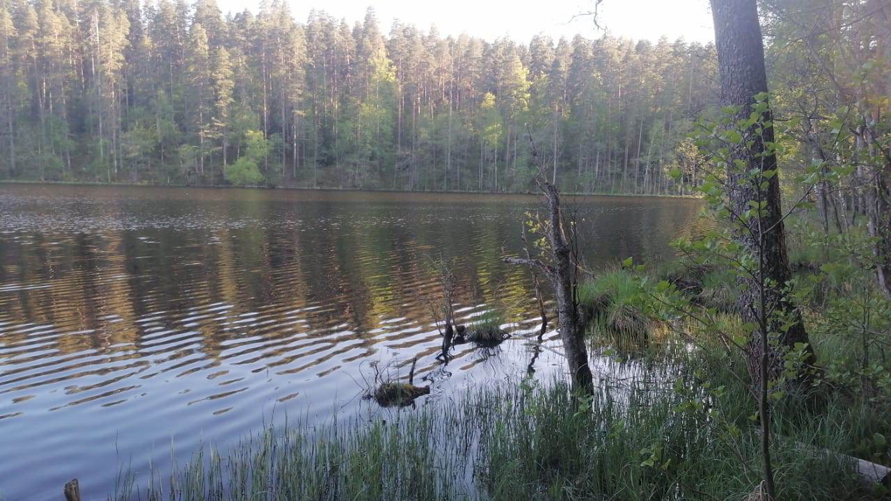 IMG-20240521-WA0004_uhcfEHEK8z.jpeg