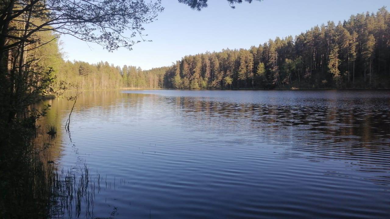 IMG-20240521-WA0005_UPLZKMdO5E.jpeg