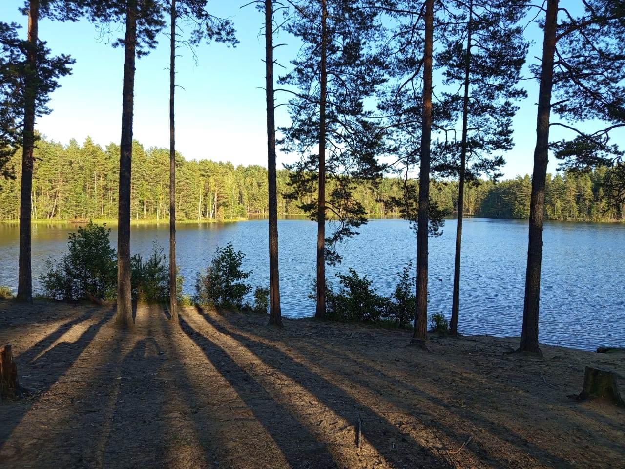 IMG-20250907-WA0006.jpeg
