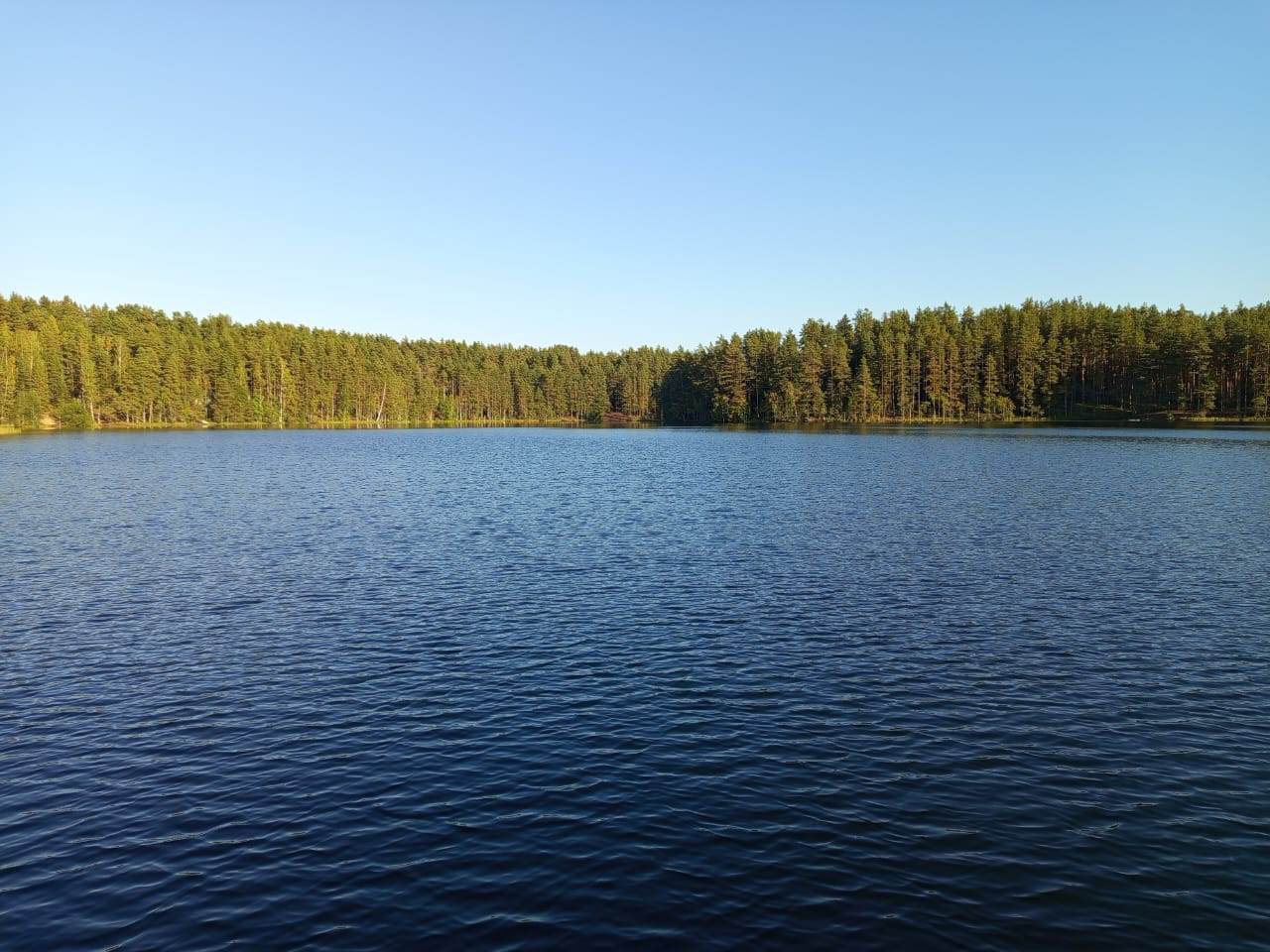 IMG-20250907-WA0008.jpeg