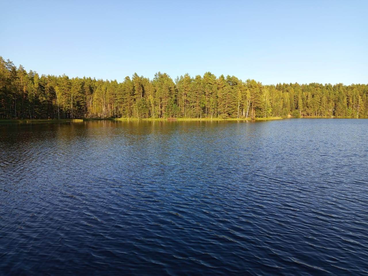 IMG-20250907-WA0009.jpeg
