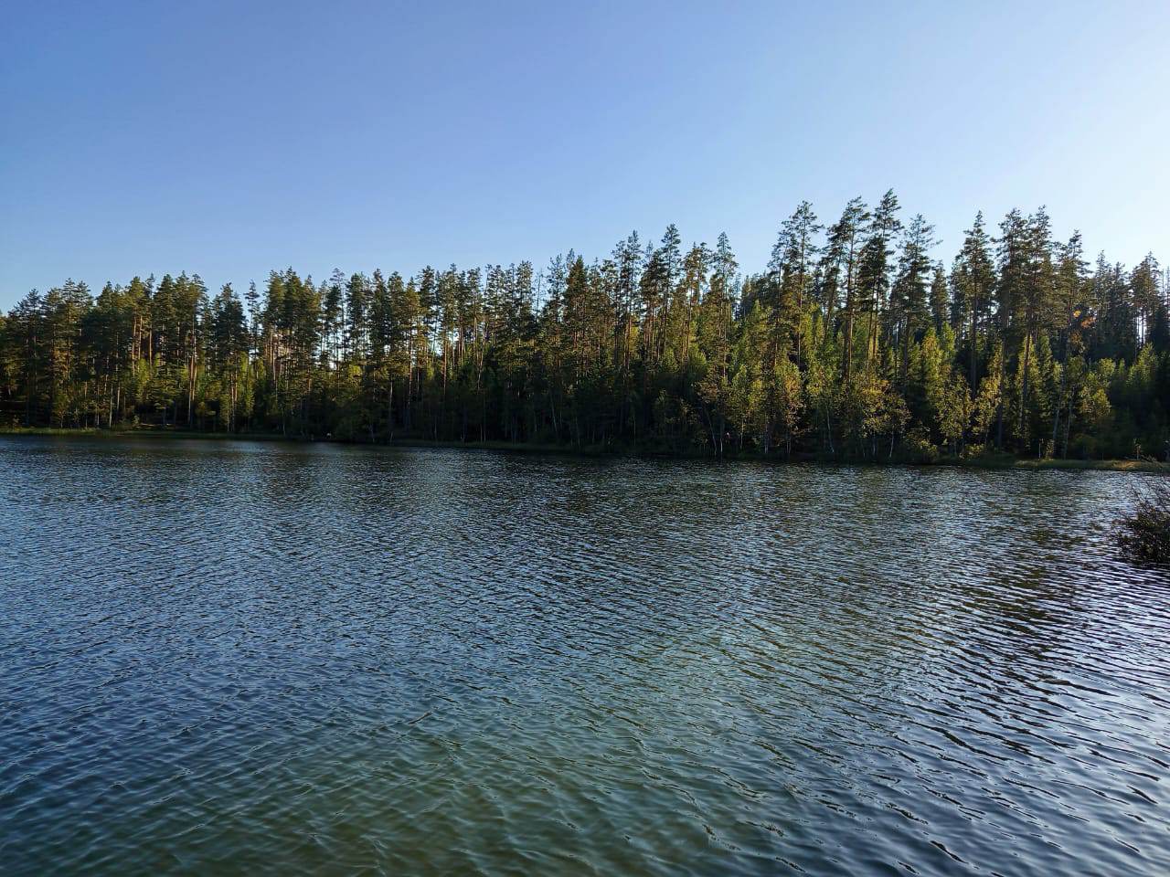 IMG-20250907-WA0010.jpeg