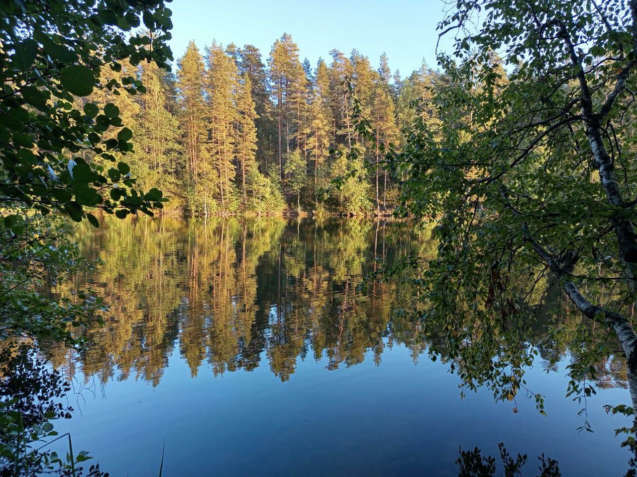 IMG-20250908-WA0016.jpeg