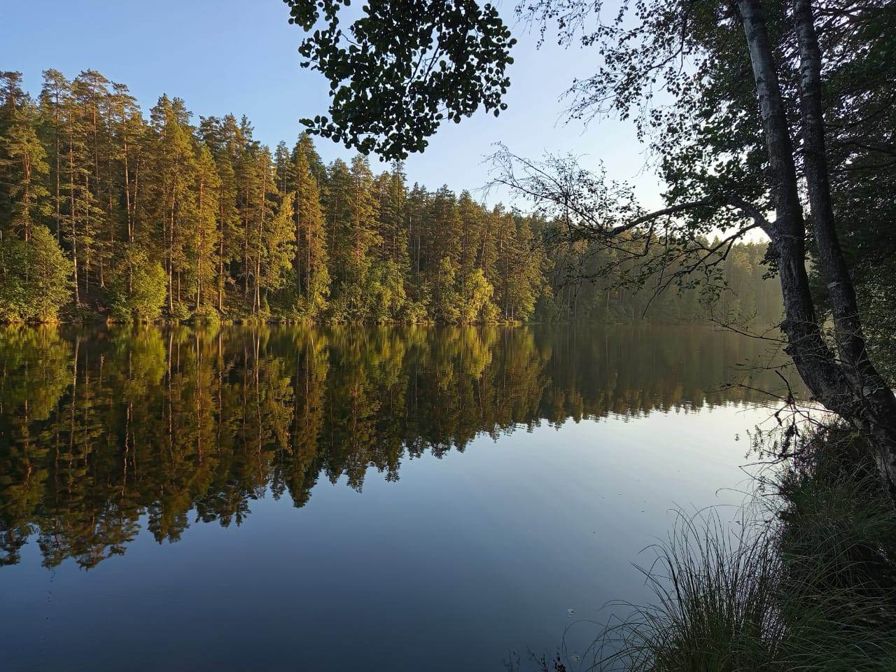 IMG-20250908-WA0017.jpeg