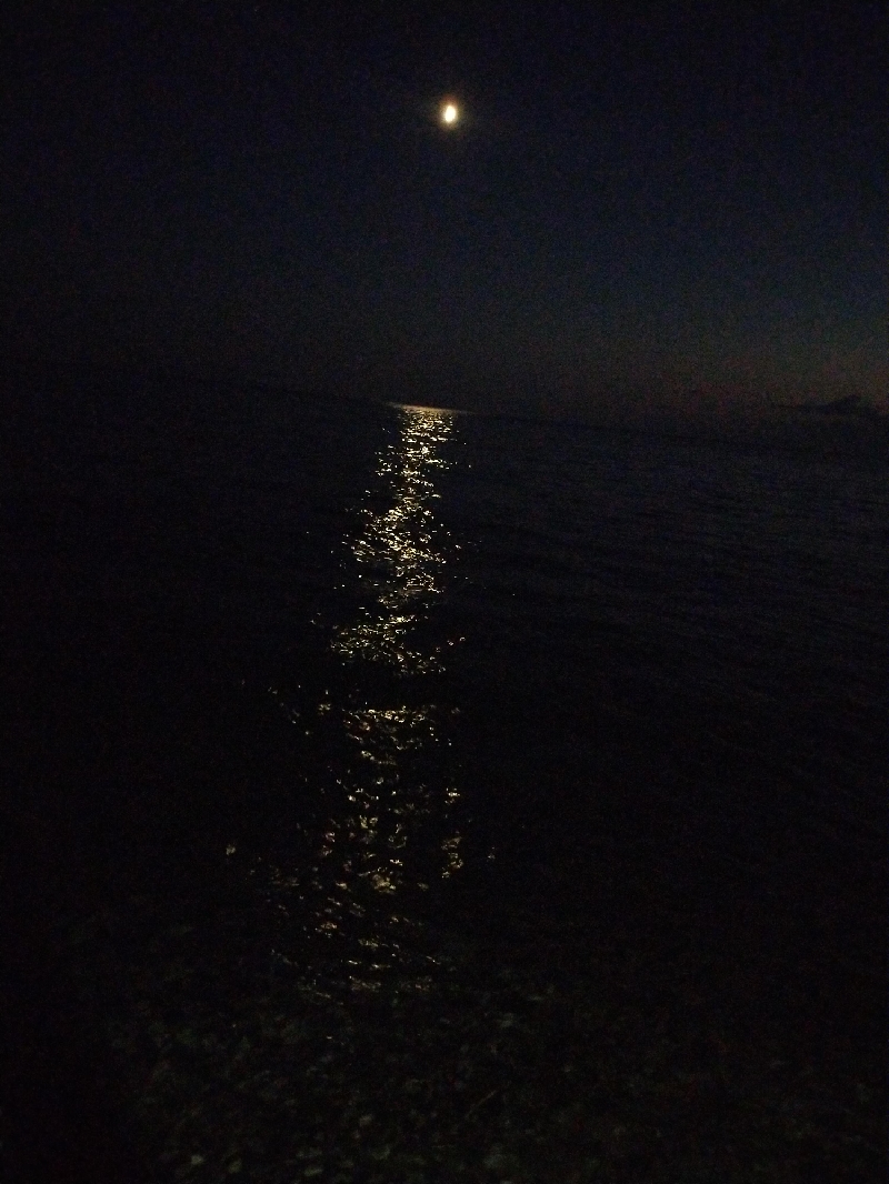 IMG20230823200012_resize_39.jpg