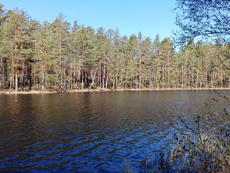 IMG20240516104211_oUnXO13c69.jpeg