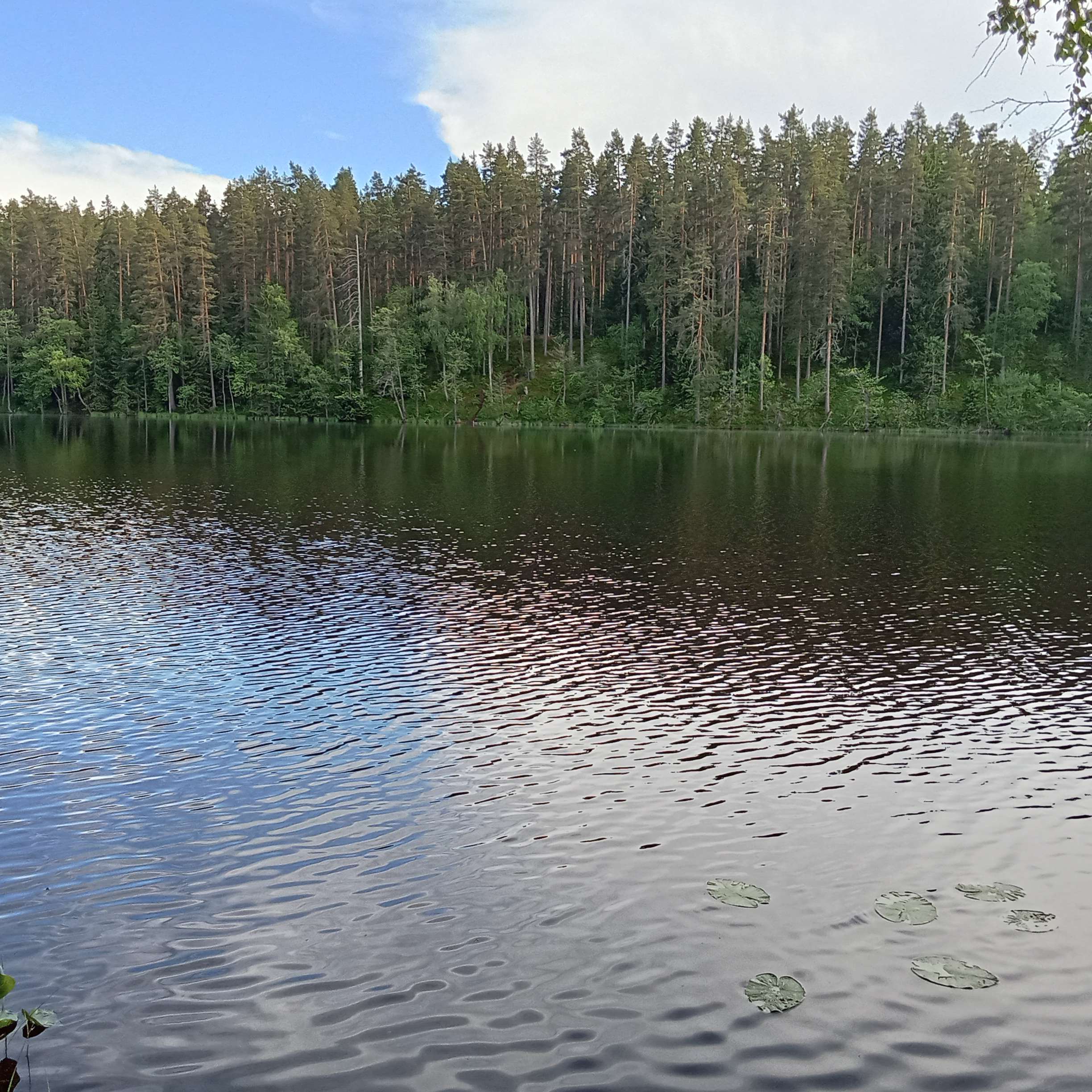IMG20240602174411_MT3EKYPr0X.jpeg