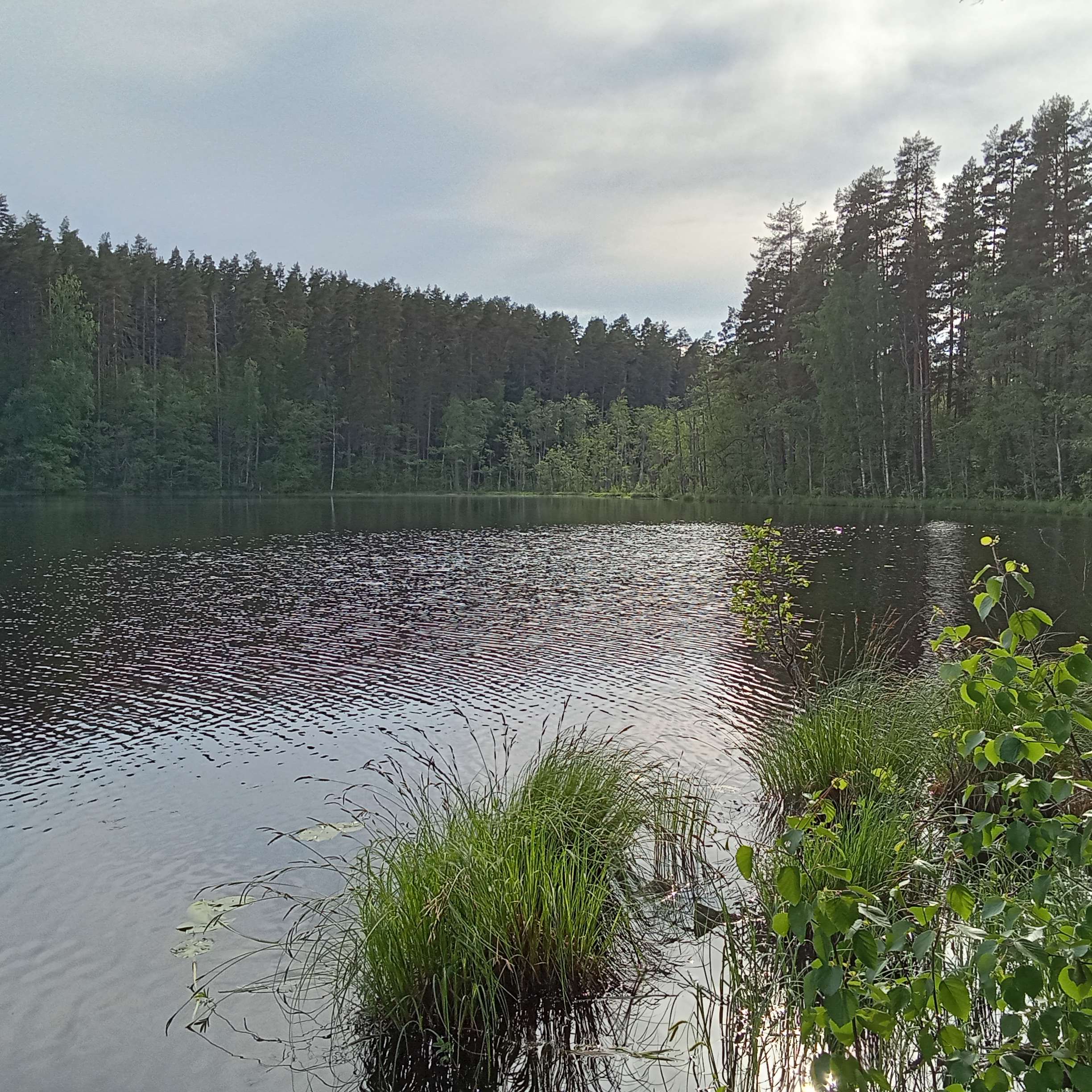 IMG20240602174524_5xyae1x02c.jpeg