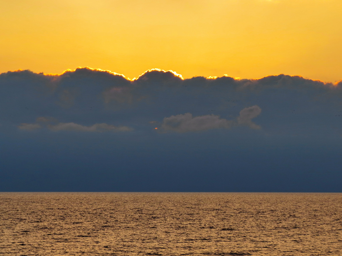 IMG_1120.JPG