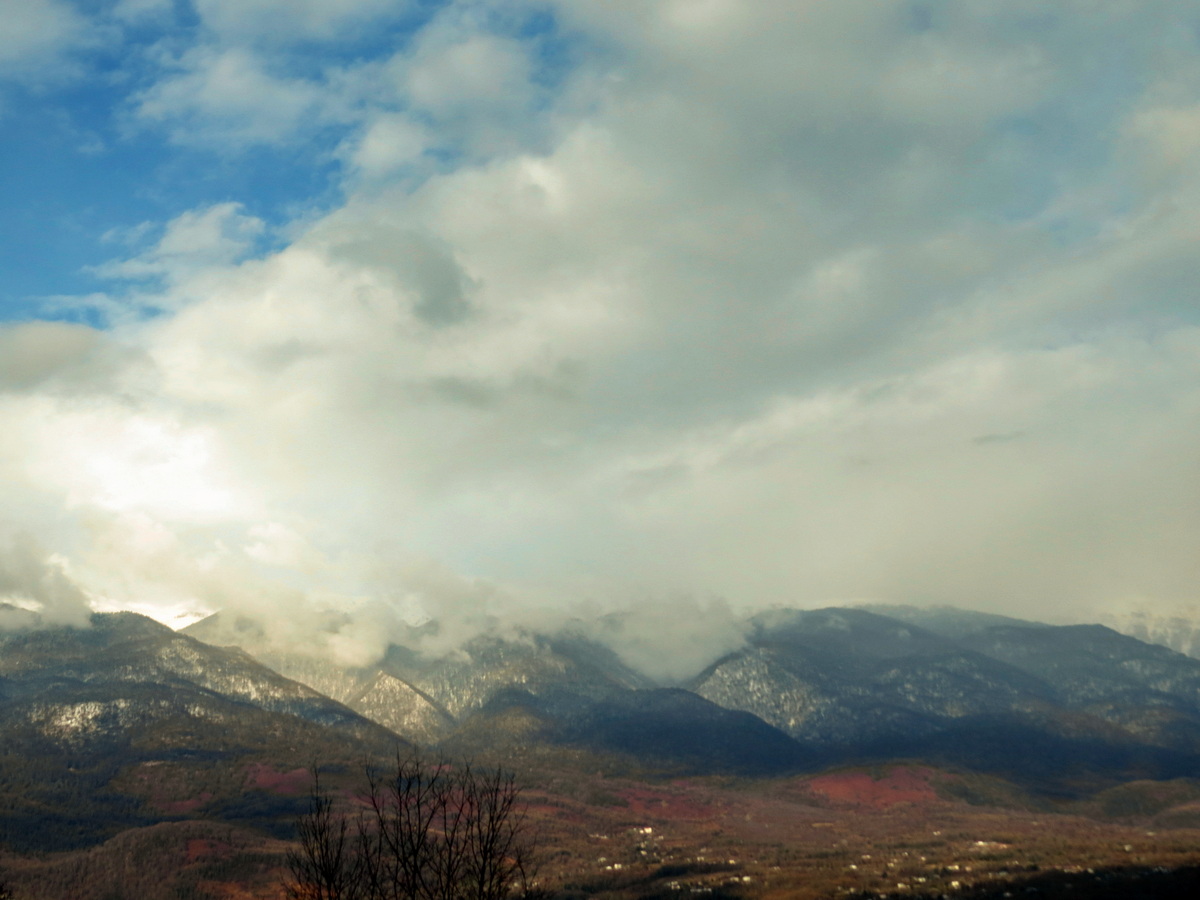 IMG_1185.JPG
