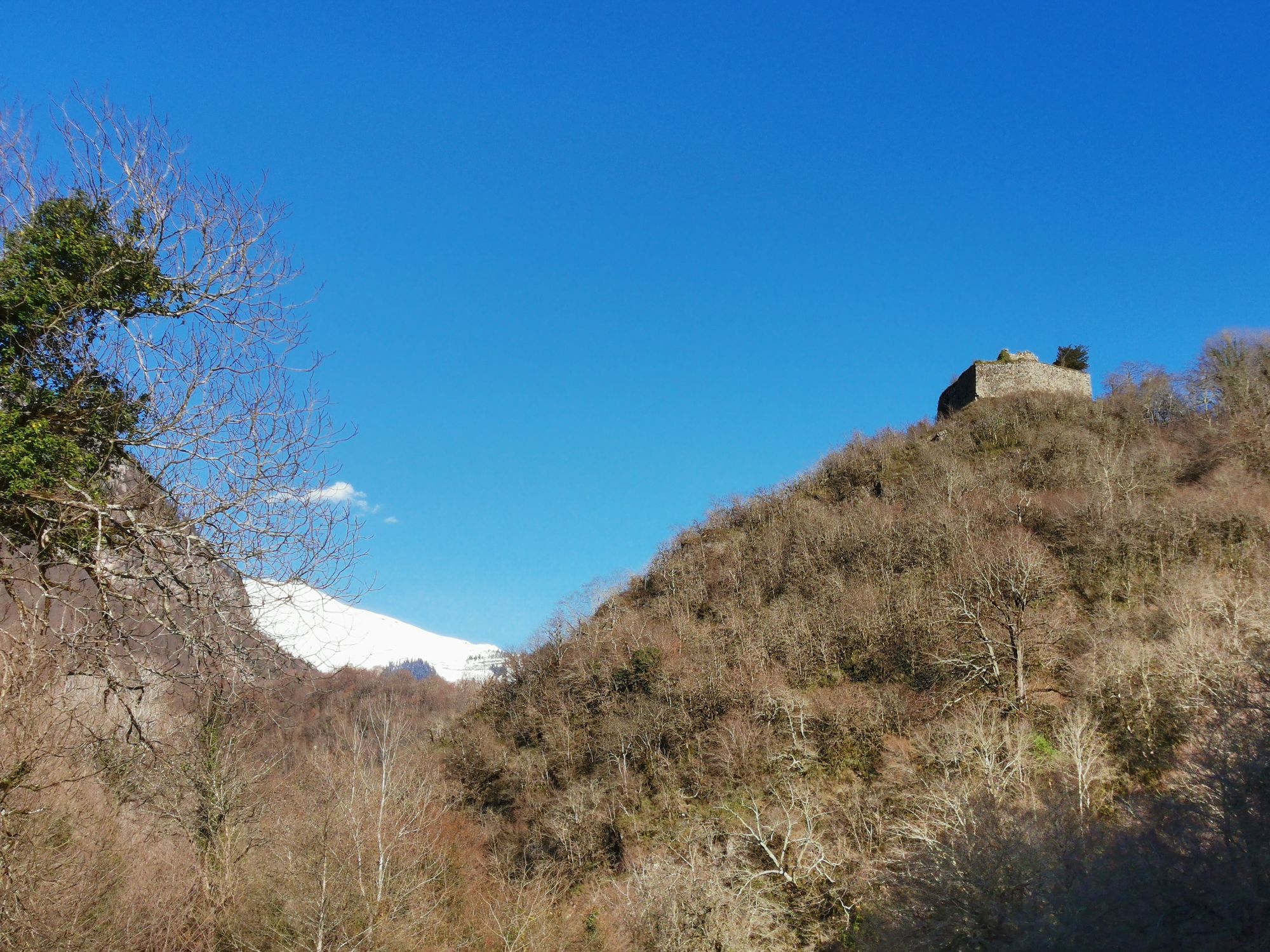 IMG_20201227_120010_compress72.jpg