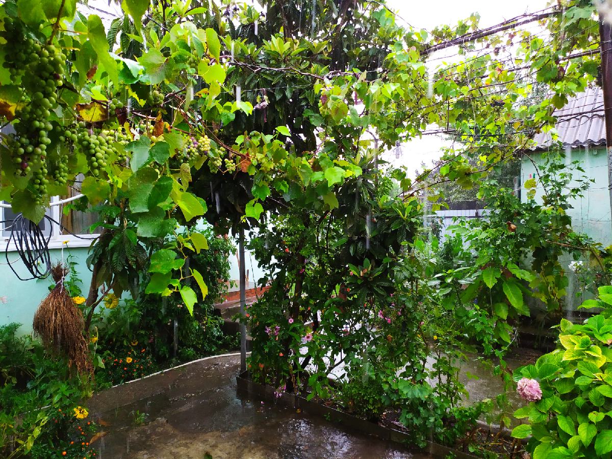 IMG_20210813_104155_resize_86.jpg