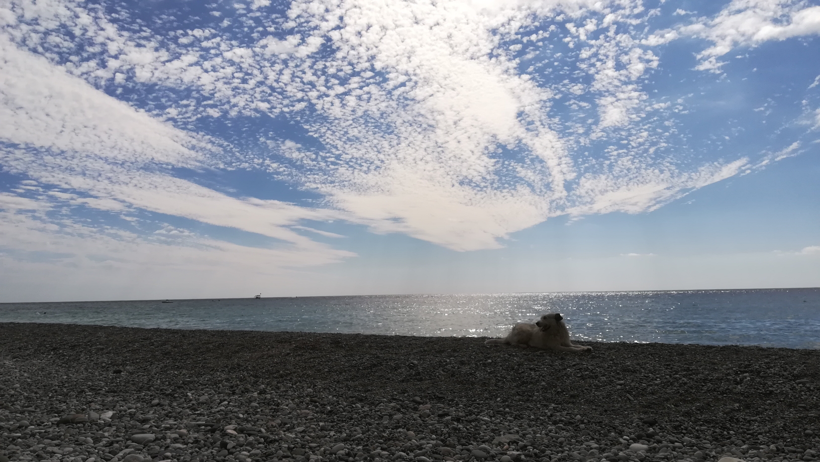 IMG_20210906_144255_resize_51.jpg